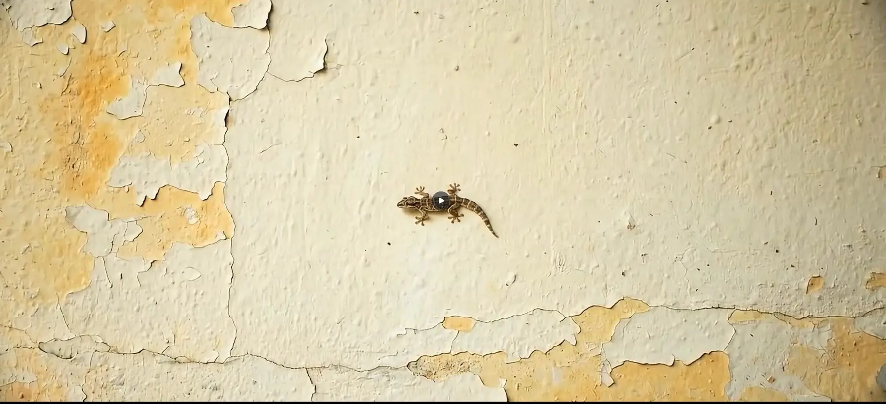 Campaign film still of a weathered wall